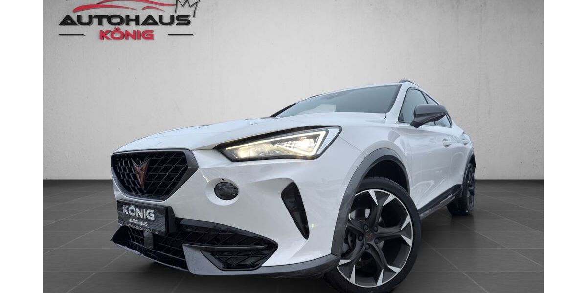 Cupra Formentor 123.600 km 19.999 &euro; Salzgitter 38259