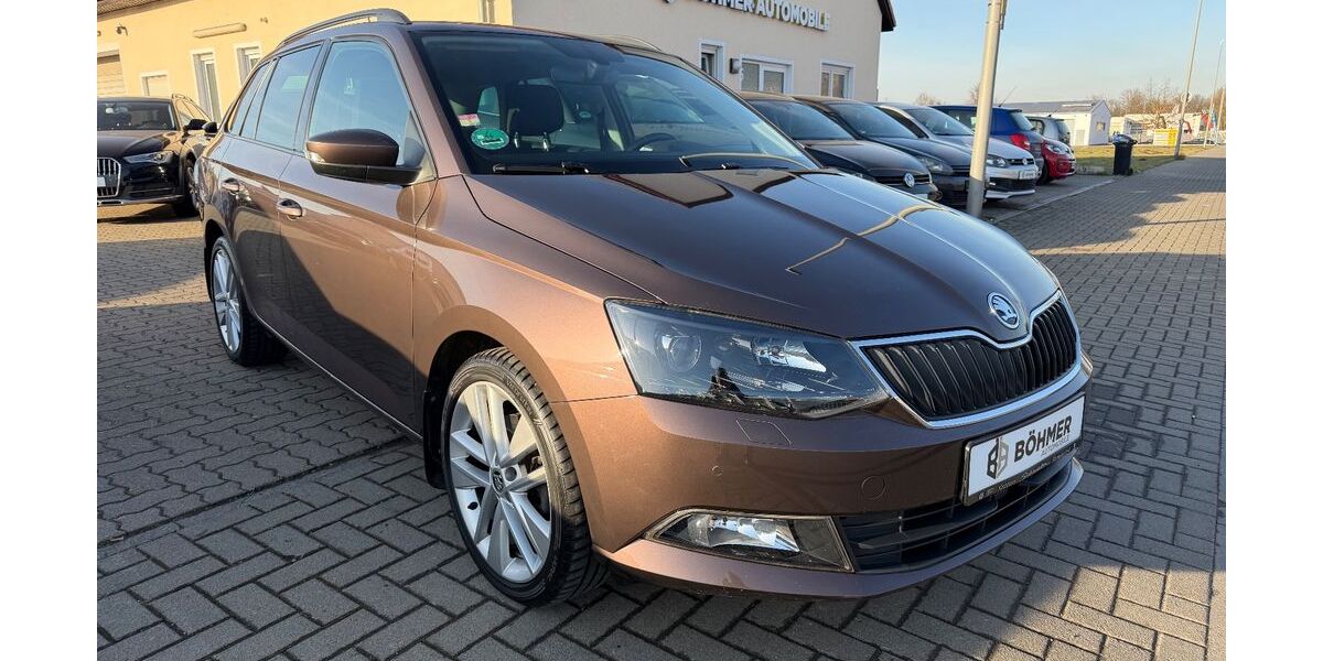 Skoda Fabia 95.000 km 10.490 &euro; Salzgitter 38229