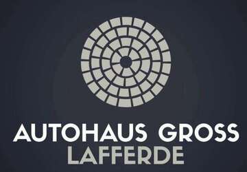 Tesla Model Y 49.000 km 37.990 &euro; Ilsede 31246