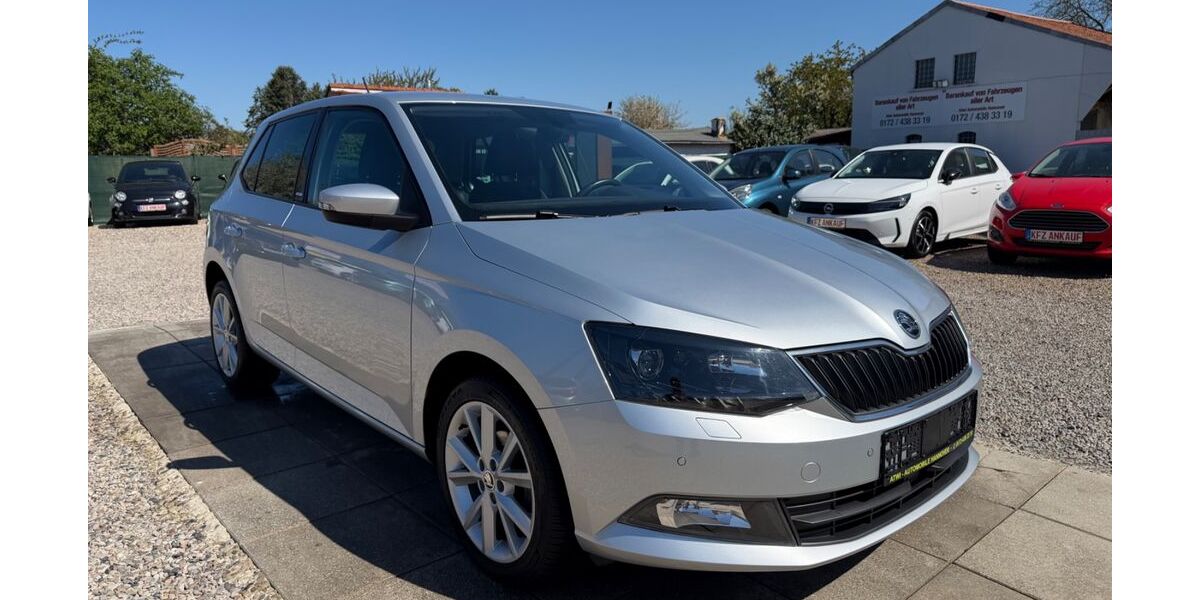 Skoda Fabia 64.000 km 9.999 &euro; Hannover 30163