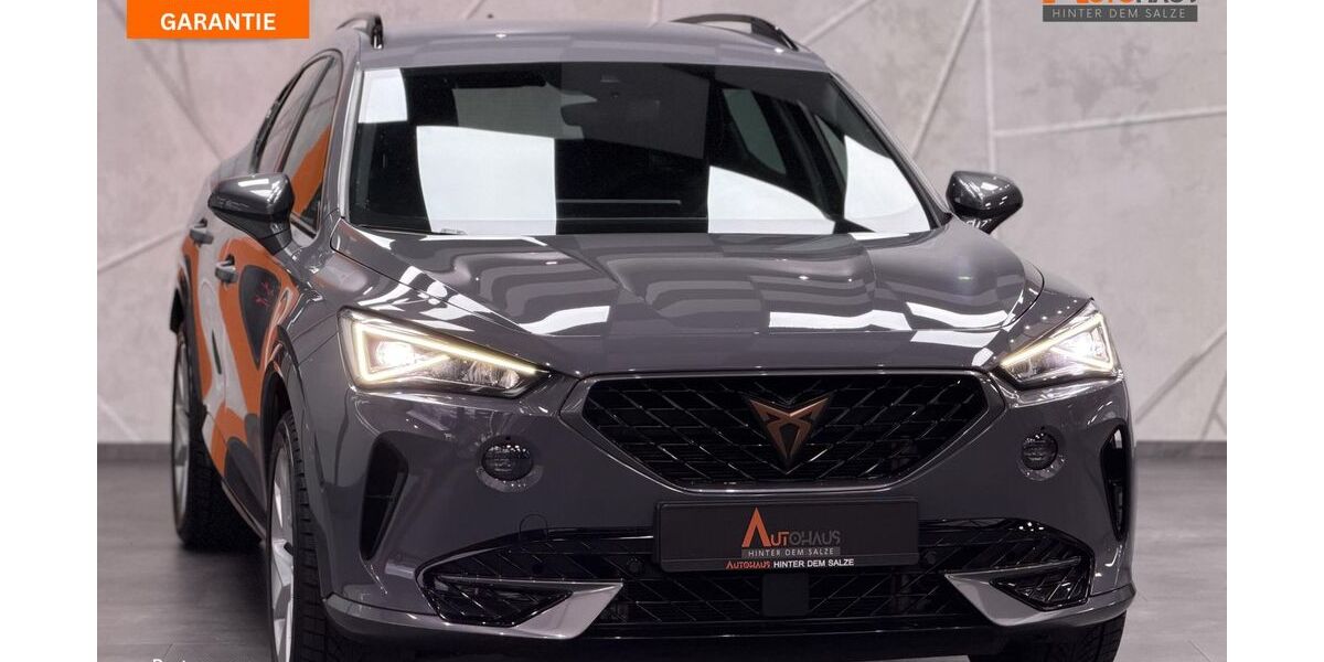 Cupra Formentor 88.650 km 21.480 &euro; Salzgitter 38259