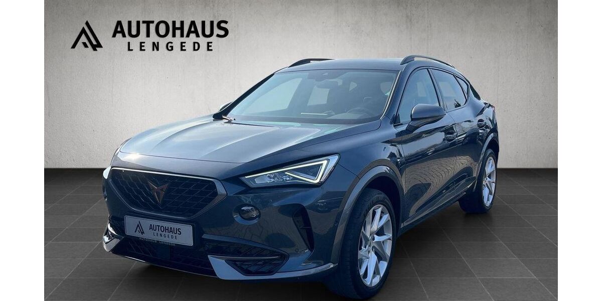 Cupra Formentor 67.250 km 24.999 &euro; Lengede 38268