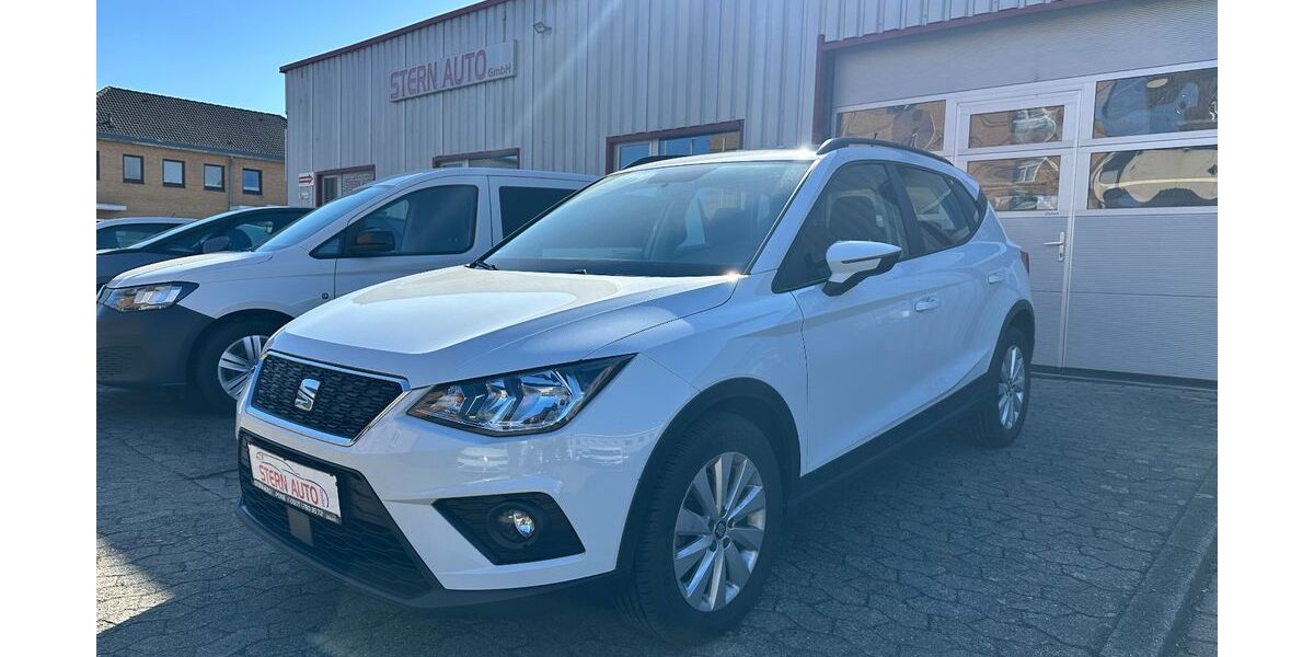 Seat Arona 93.800 km 13.999 &euro; Peine 31226