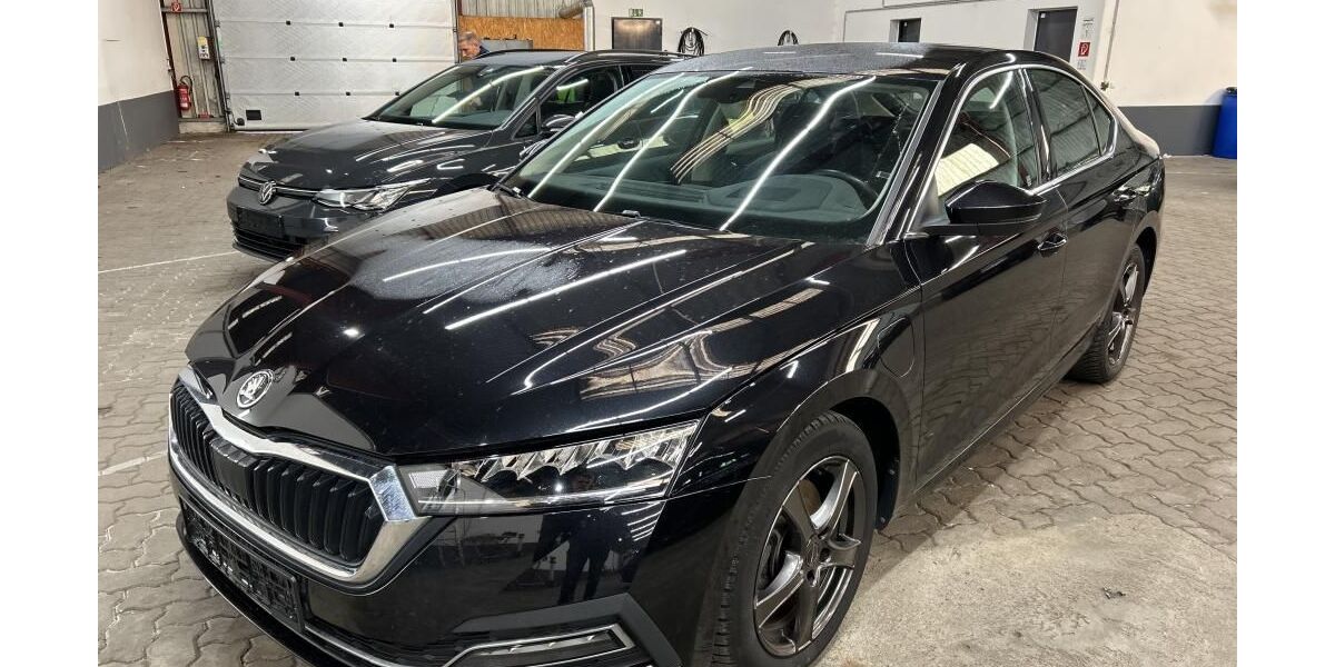 Skoda Octavia 98.002 km 17.990 &euro; Peine 31226