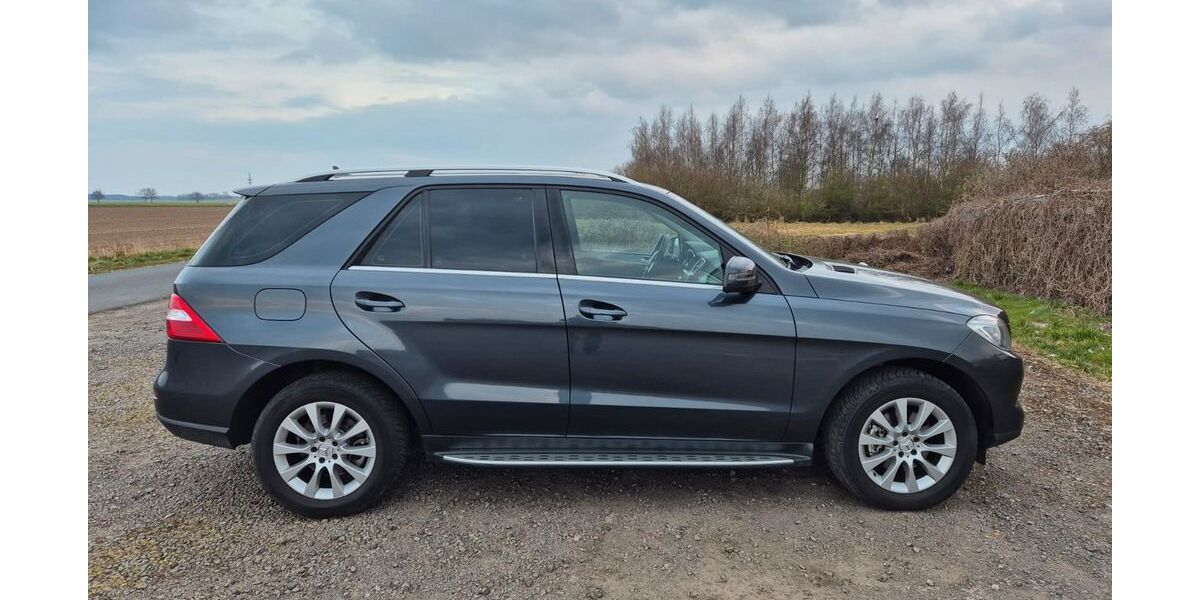 Mercedes-Benz ML 350 233.000 km 19.999 &euro; Peine 31228